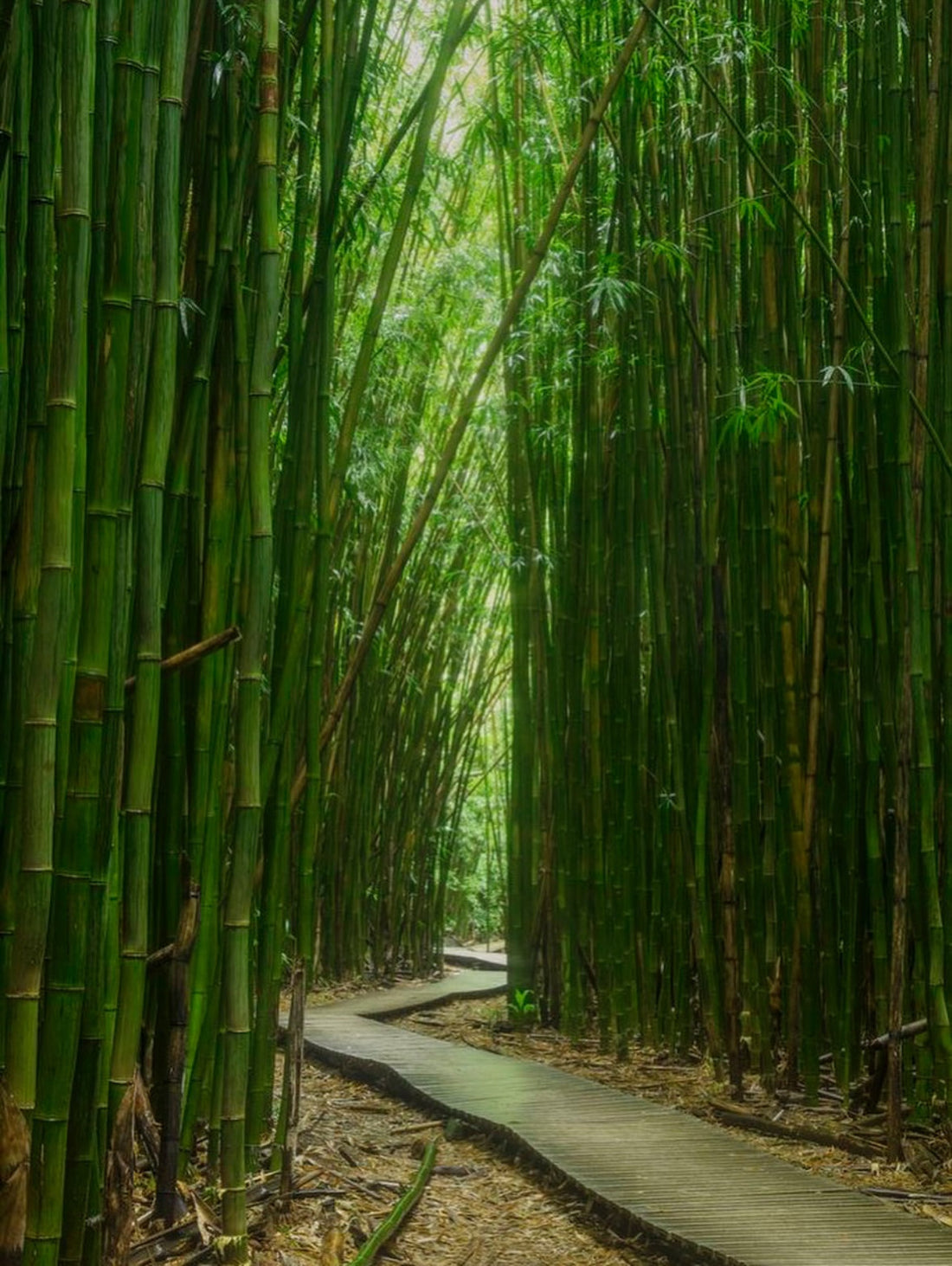 From Hotel Room Epiphany to Happy Mouth, Happy Planet: The Story Behind Brush Naked