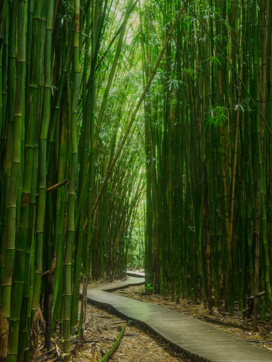 From Hotel Room Epiphany to Happy Mouth, Happy Planet: The Story Behind Brush Naked