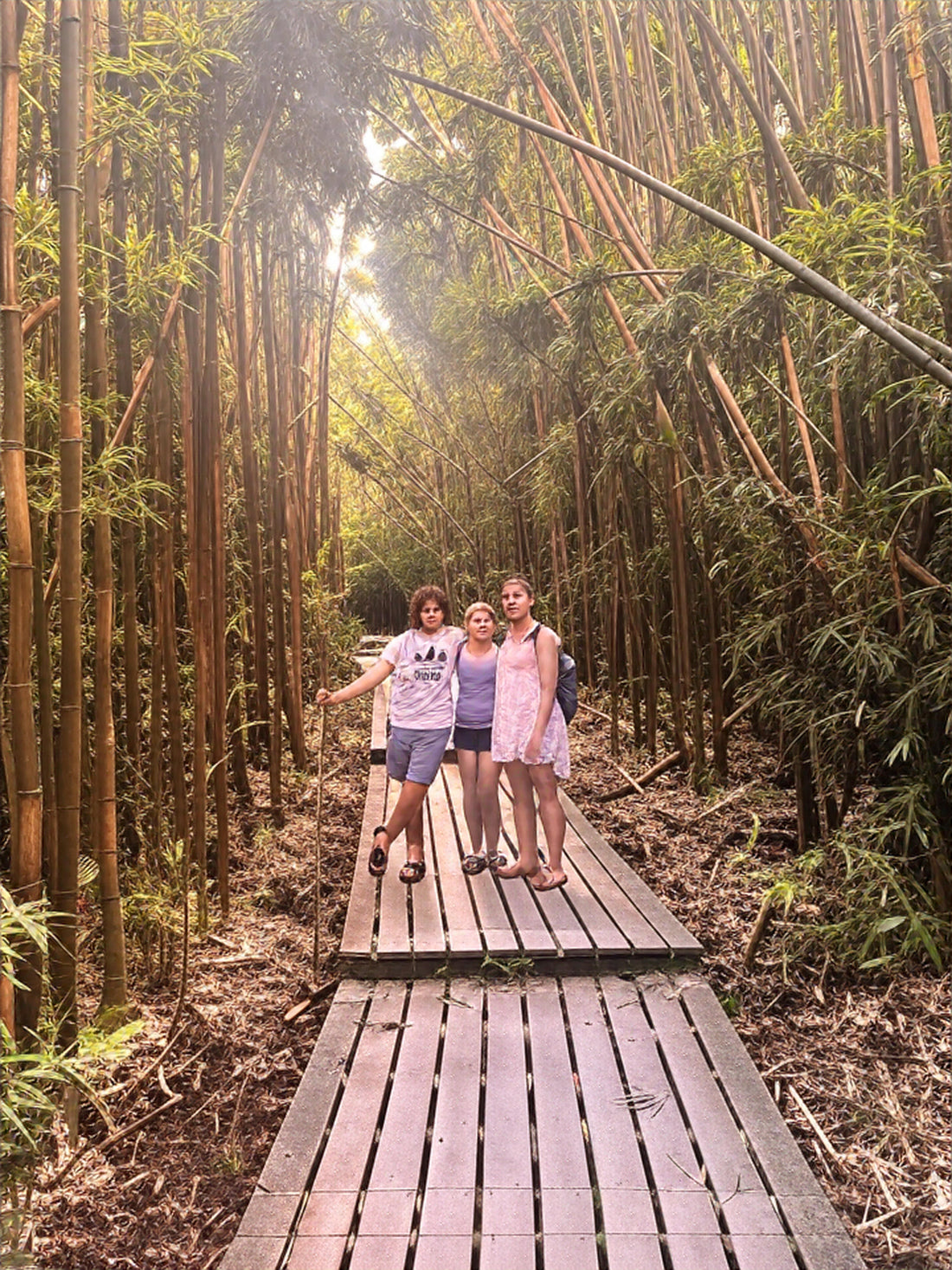 🌿 Are Bamboo Toothbrushes Really Compostable? The Honest Breakdown