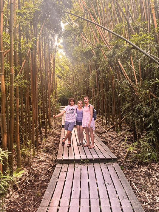 🌿 Are Bamboo Toothbrushes Really Compostable? The Honest Breakdown