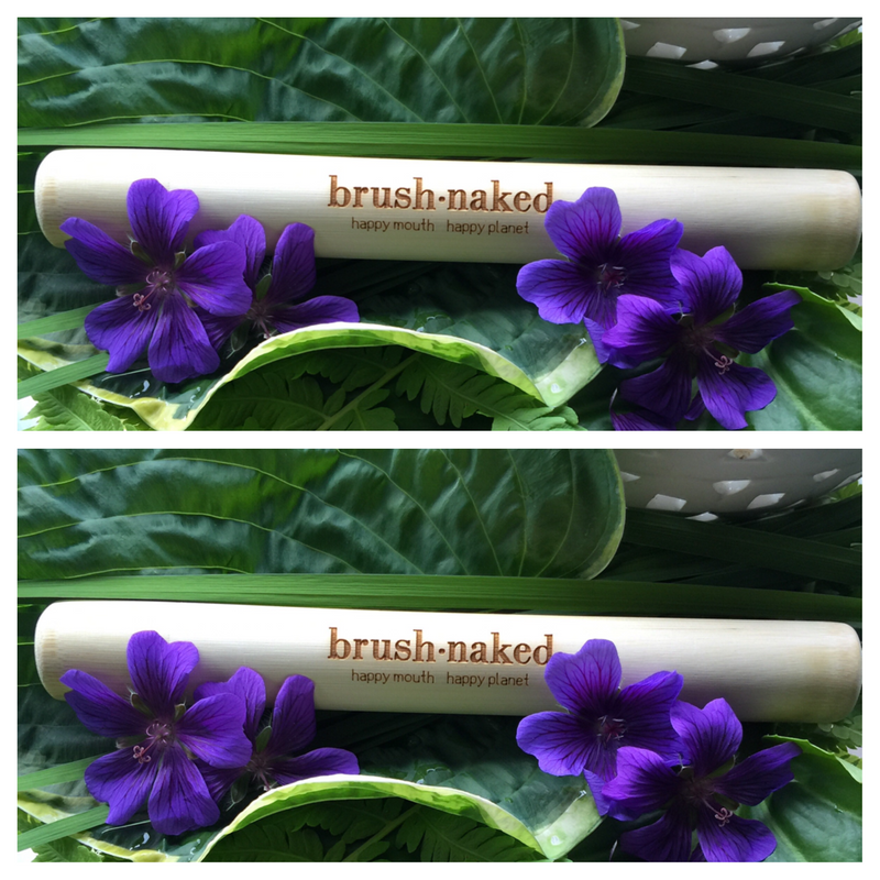 Toothbrush Travel Tube 2-Pack
