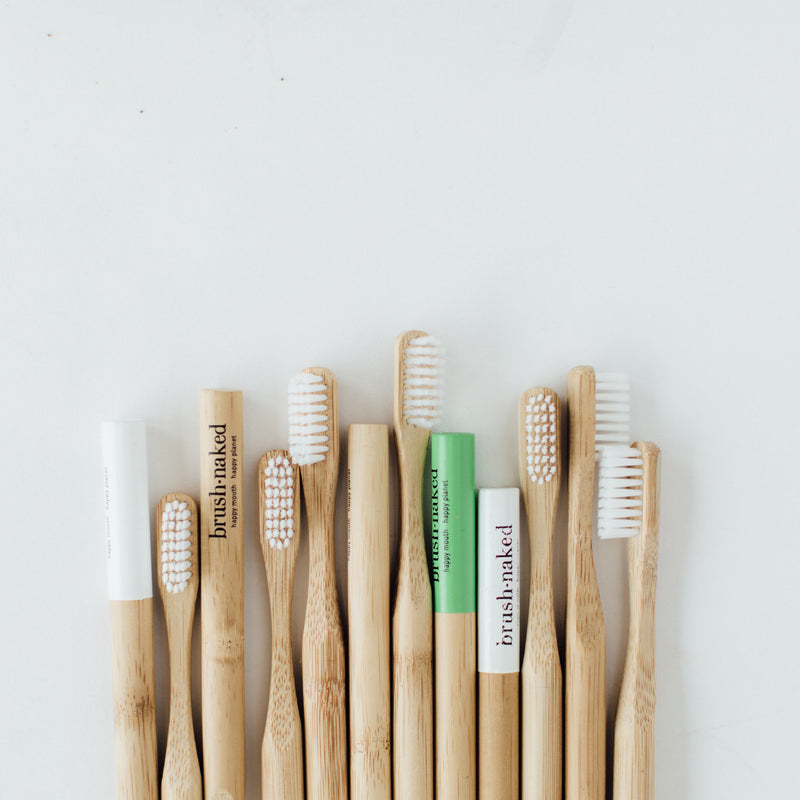 Adult Nylon Toothbrushes - 12 Pack (Stock-Up Bundle)