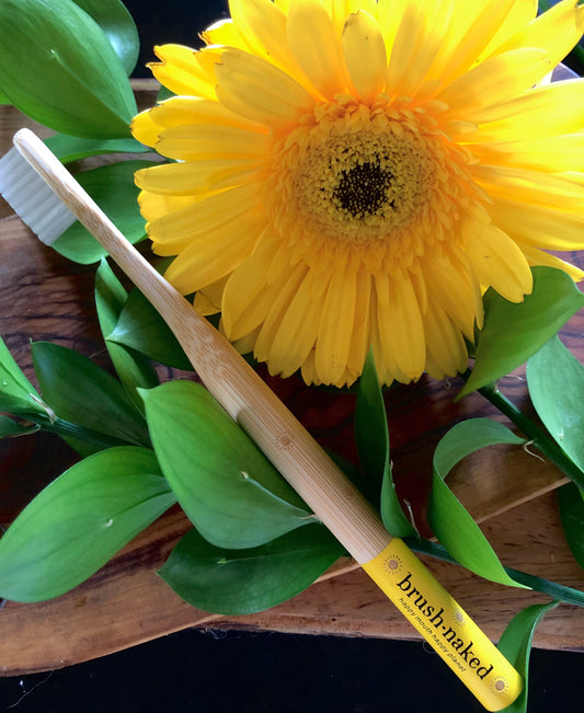 Summer Edition Toothbrush - WHOLESALE